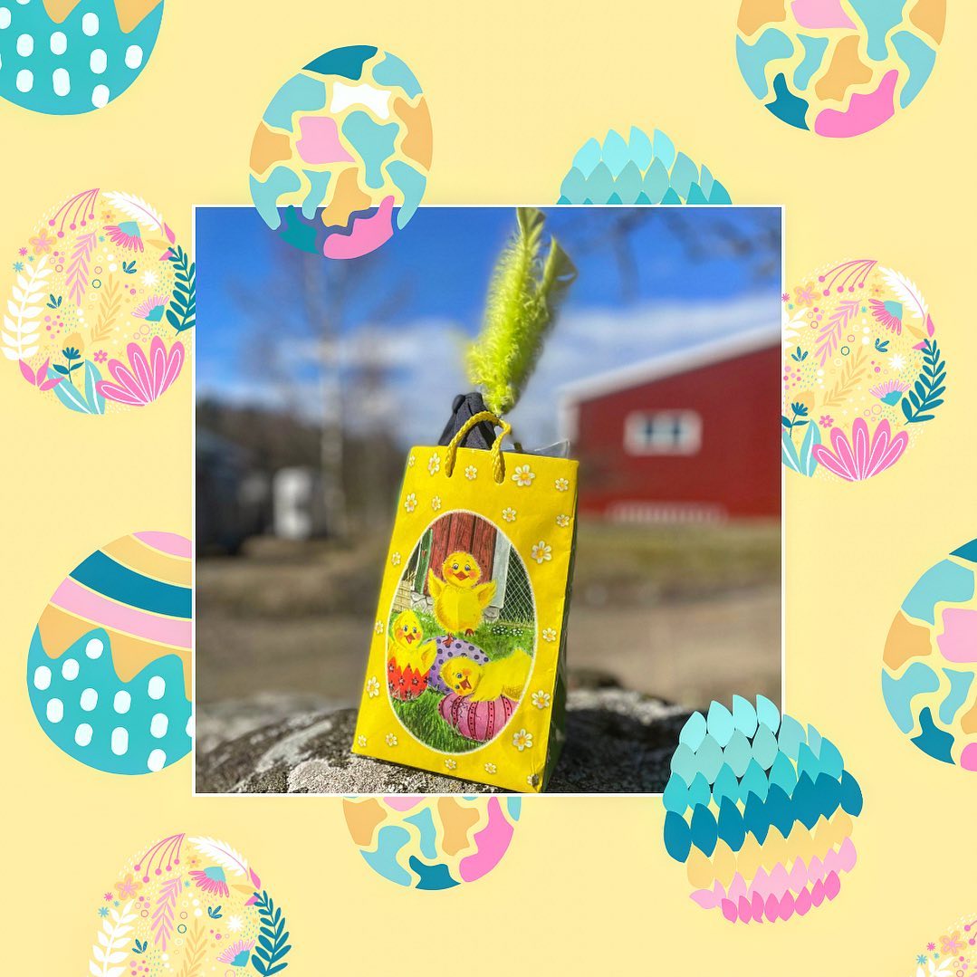 TÄVLINGEN ÄR AVSLUTAD!
🐣Påsktävling🐣
Påsken är äntligen här och det vill vi fira med en tävling. För att vara med i tävlingen ska du i en kommentar under denna bilden
- Tagga två personer
- Beskriva ditt bästa minne från ARS
En kommentar/person.
Tävlingen stänger måndagen den 10/4 klockan 16.00 och vinnaren presenteras i detta inlägg samt i storys strax efter. Priset är en härlig välfylld påskpåse🐥💐
❗️Tävlingen är inte på något sätt sponsrad, stödd eller administrerad av eller knuten till Instagram. Det är Alingsås ryttarsällskap och detta kontot som arrangerar tävlingen.