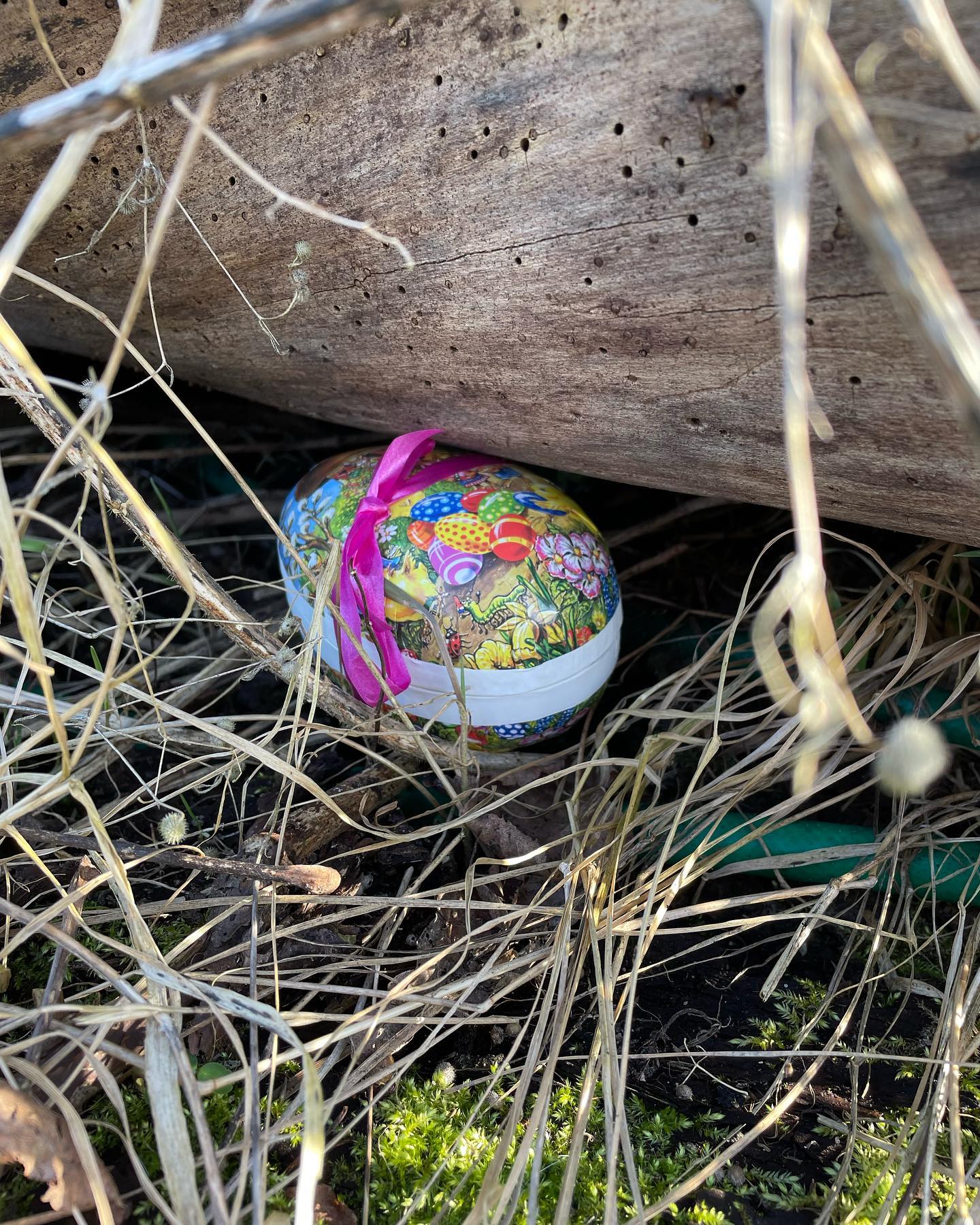 Äggjakt på Alingsås Ryttarsällskap!
Ungdomssektionens påskhare har gömt 20 st ägg i olika storlekar runt om på anläggningen.
Hittar du ett ägg vill vi att du tar en bild på dig med ägget på den plats där du hittade det och skickar dm till @ussalingsasryttarsallskap
🐰ett ägg per person!
🐰 även @hundstallet har gömt ägg till hundarna i vår närhet, ta inte dem!
🐰 tänk på att ta det lugnt så att ingen häst blir skrämd när du letar
🐰när du ändå är på klubben och letar - mocka gärna en box eller packa en höpåse ❤️
Glad Påsk & Lycka till! 🐰🐣🐴
Några av äggen är sponsrade av @hooksofficial i Alingsås, tack för det!