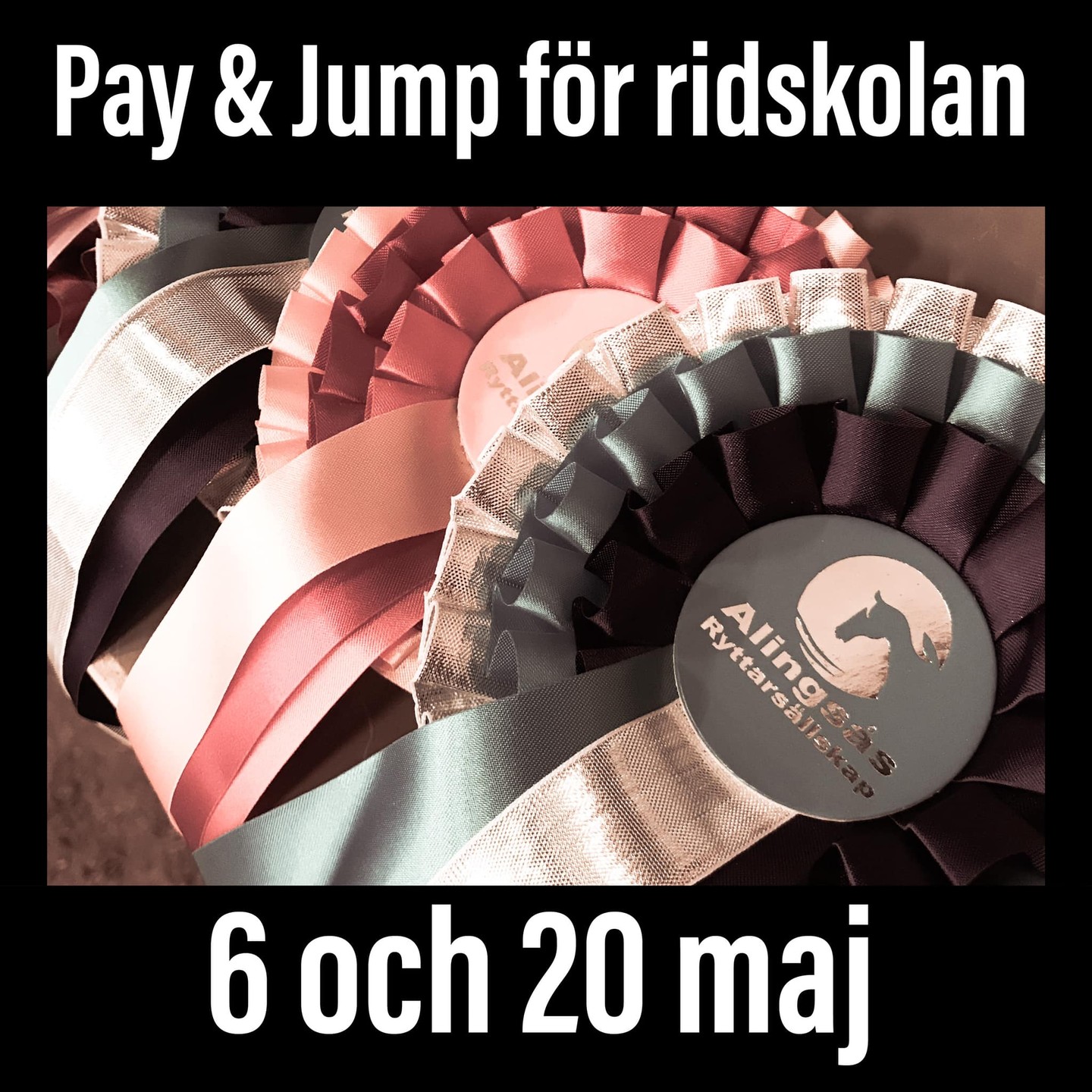 På lördag v. 18 och 20 har ridskolans elever möjlighet att vara med på Pay & Jump!
Grundläggande info om vad som gäller för att vara med finns på hemsidan: https://www.alingsasrs.se/tavlingar/pay-jump-pay-ride/
Stäm gärna av med din ridlärare vilken häst du kan anmäla dig på. Tänk på att 🐴 kan vara lite busigare vid tävling än på vanlig lektion 🧡
Anmälan sker via webbutiken, klubbarrangemang: https://www.alingsasrs.se/produkt-kategori/klubbarrangemang/
Anmälan för P&J 6/5 öppnar 29/4 kl 9
Anmälan för P&J 5/5 öppnar 5/5 kl 8