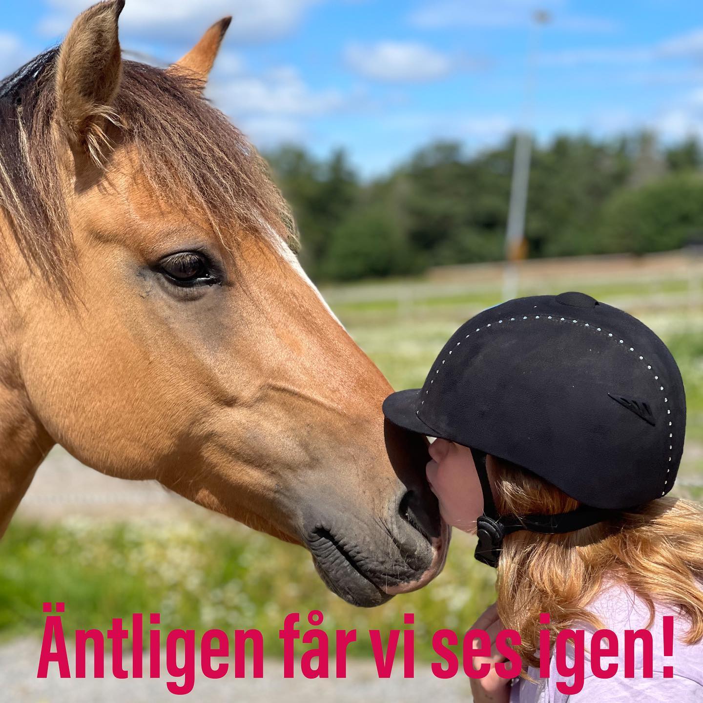 Efter ett härligt sommarlov är det äntligen dags att starta upp ridskolans hösttermin!
Lektionerna startar på måndag 7 augusti. Välkomna 🧡🐴