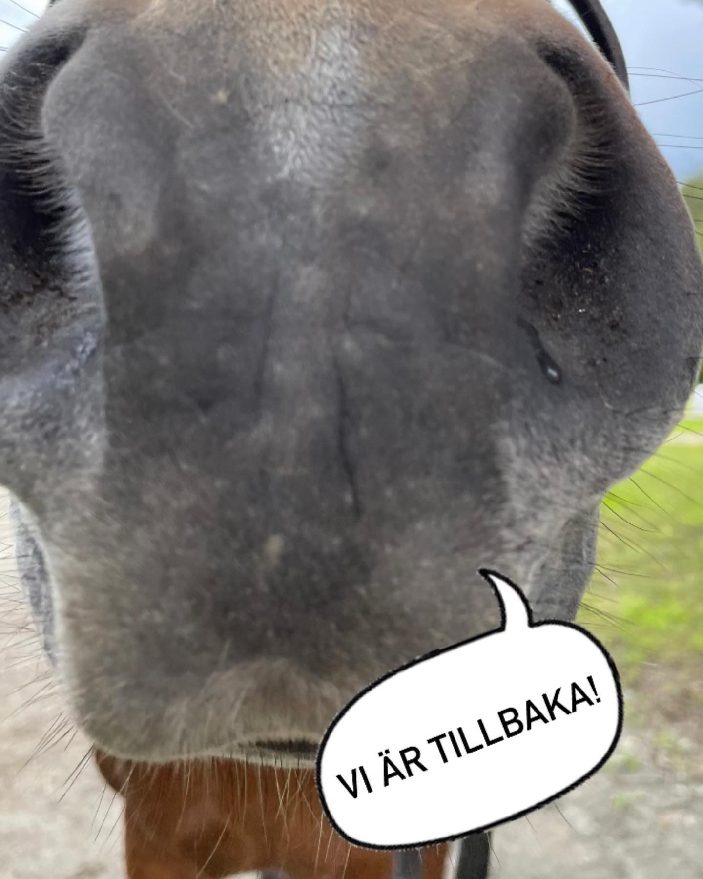 Efter en lååång process så är vi äntligen vi igen!
För er som missat varför vi varit borta så blev vårat instagram konto hackat men nu har vi äntligen fått tillbaka det☀️
