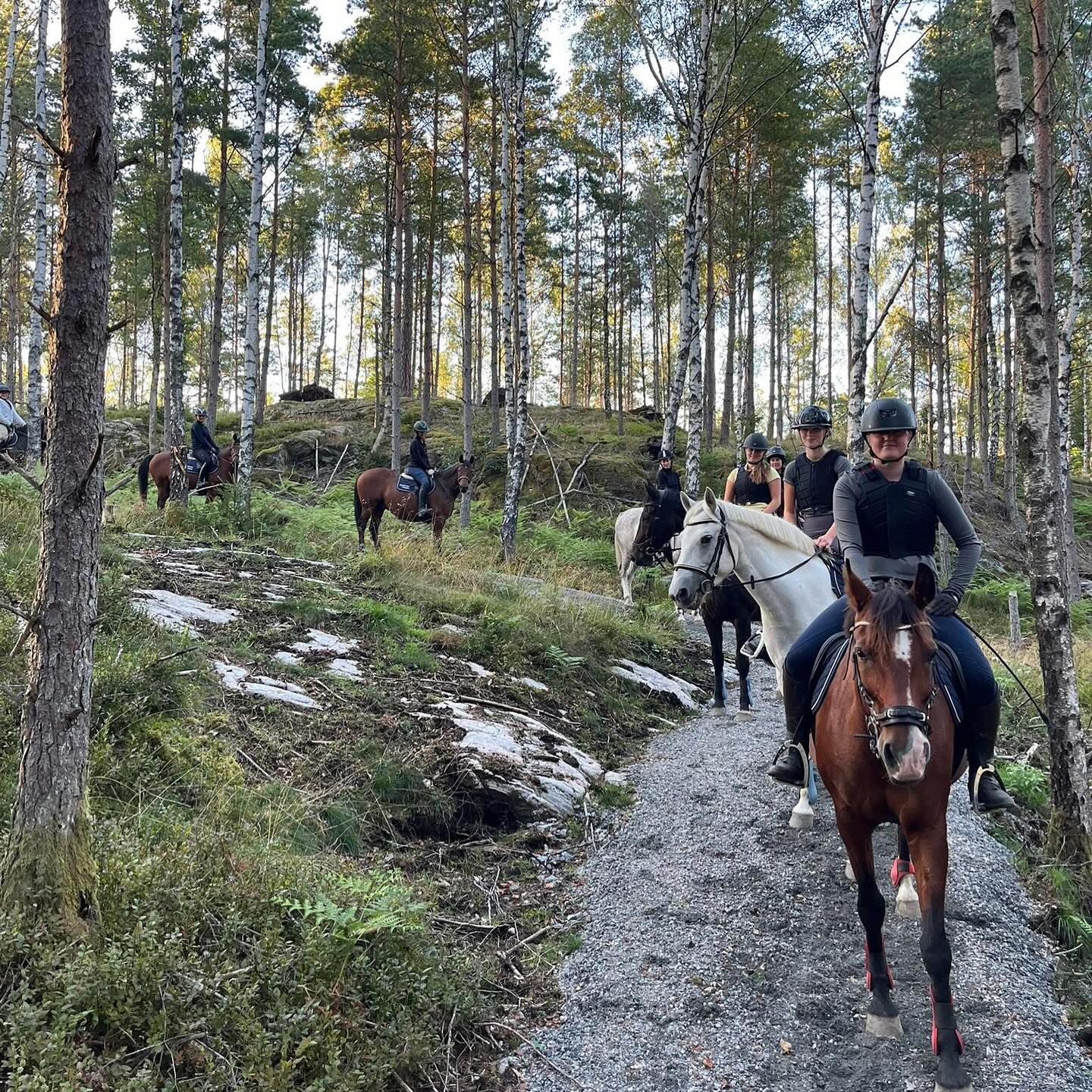 AGRIARITTEN
Följ med oss på Agriaritten den 13/9 kl 11.00
Den 12-14 september är det dags för Agriaritten 2025. Tillsammans rider vi ut för en god sak. För varje häst som deltar i ritten skänker Agria 10 kronor till Stall Kungsgårdens viktiga arbete för barn och unga med utmaningar i livet. Tack för att du är med och gör skillnad!
Uteritt 13/9 kl 11.00
Lektionshäst: 150kr
Egenhäst: Gratis
Hoppas du vill hänga med!
Anmälan finns i stallet🌸