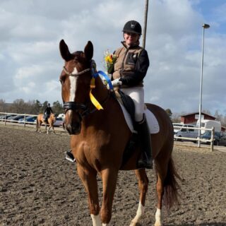 Stort grattis till alla tävlande i dagens klubbmästerskap i dressyr för fina ritter!!

Placerade privat Häst:
1 Julia Lunden
2 Blenda Rosén

Placerade privat ponny:
1 Thea Lindfors 
2 Wilma Andréasson

Placerade ridskola junior: 
1 Selah Larsson
2 Maja Öström
3 Hilda Larsson
4 Olivia Halvarsson

Placerade ridskola senior:
1 Malin Wåhlstedt 
2 Emelie Andréasson
