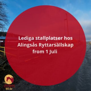 Lediga stallplatser hos Alingsås Ryttarsällskap 🐎

Vi erbjuder boxplats i isolerade stall med hagar. Tillgång till spolspilta, sadelkammare och foderrum ingår. Vardagar sköts ut-/insläpp samt fodringar av personal, helger enligt schema. Som uppstallad finns det tillgång till två ridhus, paddock, dressyrbana och fina ridvägar. Möjlighet till träningar och tävlingar på hemmaplan. 

Hör av dig vid intresse till alingsasrs@gmail.com