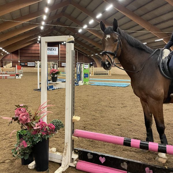 Pay & Jump 27/10 2025