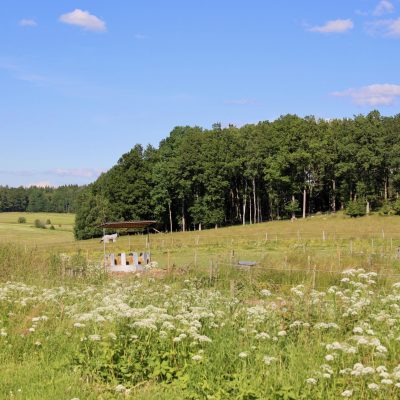 Anläggningen Ponnystall, hage