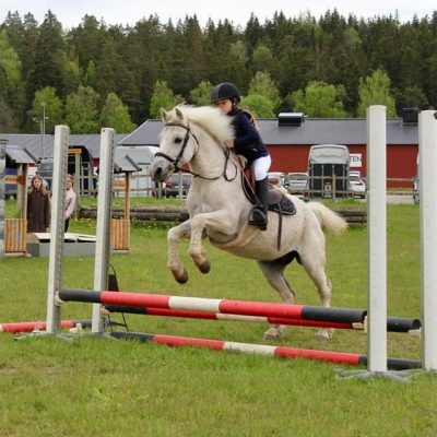 Ridskola Ridlektion Gräsbanan Bambam